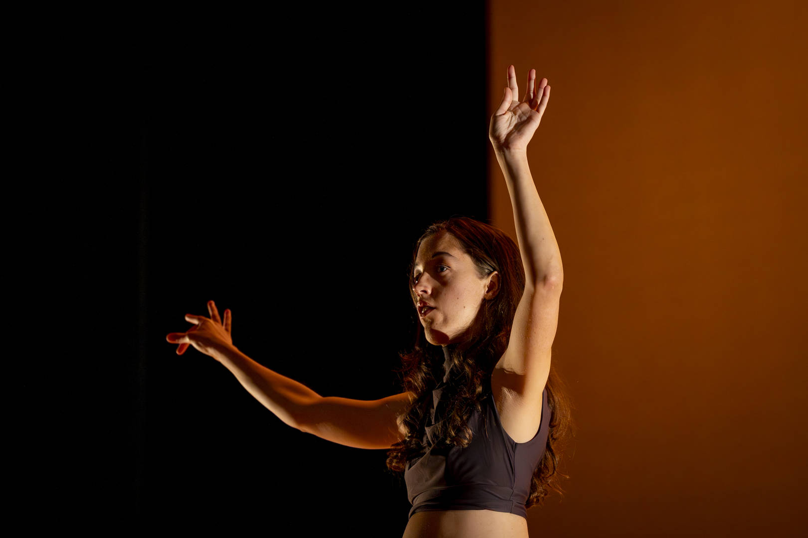 Espetáculo Sibela e Digoo